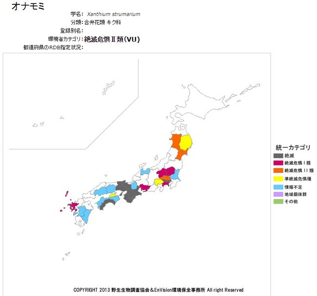ひっつき虫 オナモミに関連した画像-02