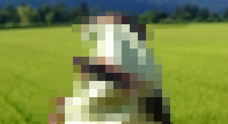 あんスタ あんさんぶるスターズ ソシャゲ ガチャに関連した画像-01