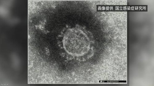 新型コロナウイルス　オミクロン株　市中感染に関連した画像-01