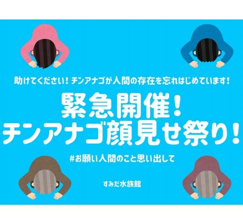 93b72_249_20200428021