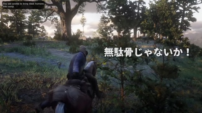 RDR2 �ʹ� ����˴�Ϣ��������-15