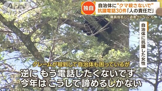 クマ　秋田　感情論　責任　野生　動物　癒やし　母親　子育て　抗議電話　30件　都市部　被害　農村　捕獲　虐待　に関連した画像-01