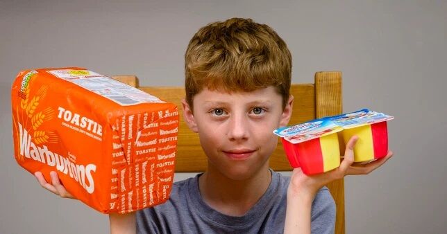 イギリス 選択的摂食障害 少年 パン ヨーグルト 治療に関連した画像-03