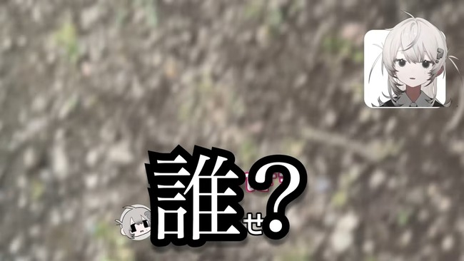 Vtuber��5�����ͤ롡���ղ񡡲ָ�����������衡ư��˴�Ϣ��������-14