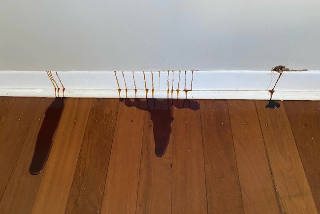 オーストラリア 家 壁 謎の液体 ハチミツに関連した画像-01