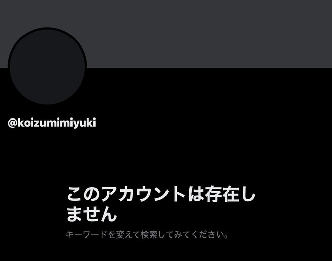 ����ͺ��Ϻ����̱̱�硡�����ߤ椭���ϥ˥ȥ顡103���ߤ��ɡ����ѡ�������ɥ롡�����΢�⡡�˴�Ϣ��������-14