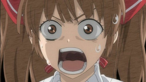 8歳　息子　耳　ヒモ状　条虫　寄生虫に関連した画像-01