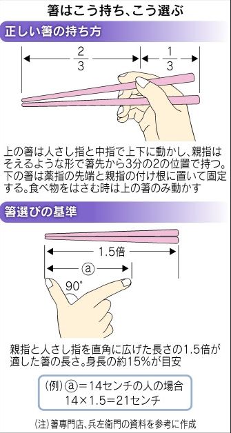 衝撃 箸を正しい持ち方で使える人は30代でも3割しかいない事が判明 オレ的ゲーム速報 刃