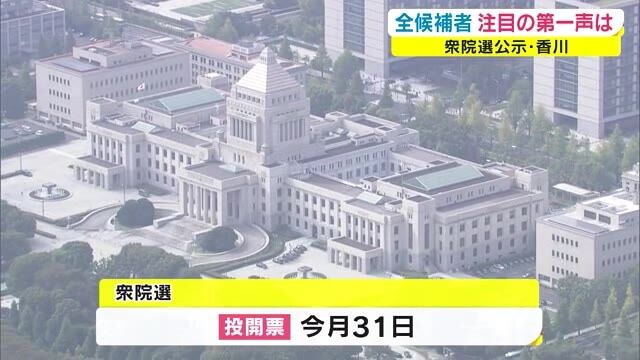 若者　政治　選挙　投票　コロナ禍　関心に関連した画像-01