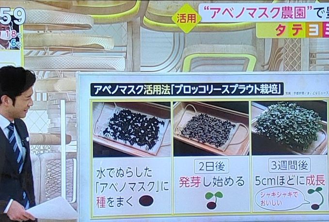 ���٥Υޥ��� ������ˡ �֥��å��꡼���ץ饦�� ���� �ľ� ��Ŭ�˴�Ϣ��������-02