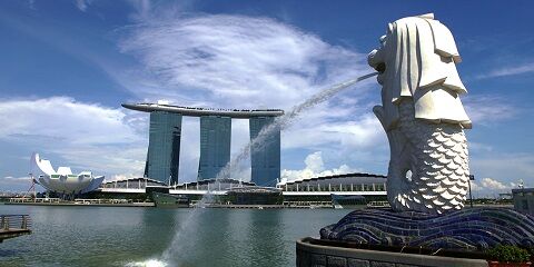 シンガポール アフリカマイマイ 広東住血線虫 死亡 注意に関連した画像-01