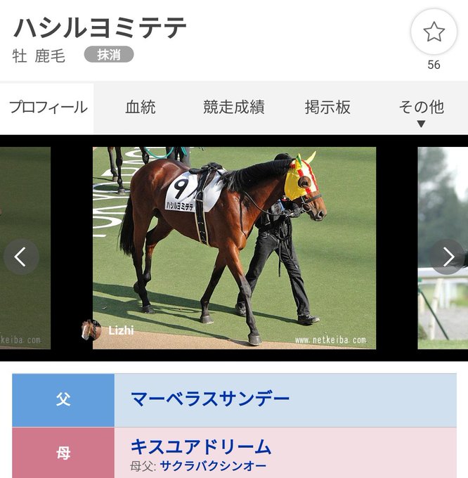 過去1かわいい名前の競走馬 見つかるwwwww オレ的ゲーム速報 刃 過去1かわいい名前の競走馬 見つかるwwwww オレ的ゲーム速報 刃