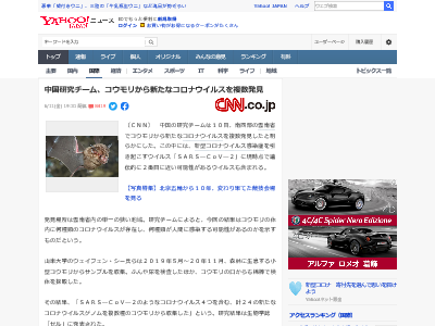 ���������ʥ����륹 ���� ������� ��� ����˴�Ϣ��������-02