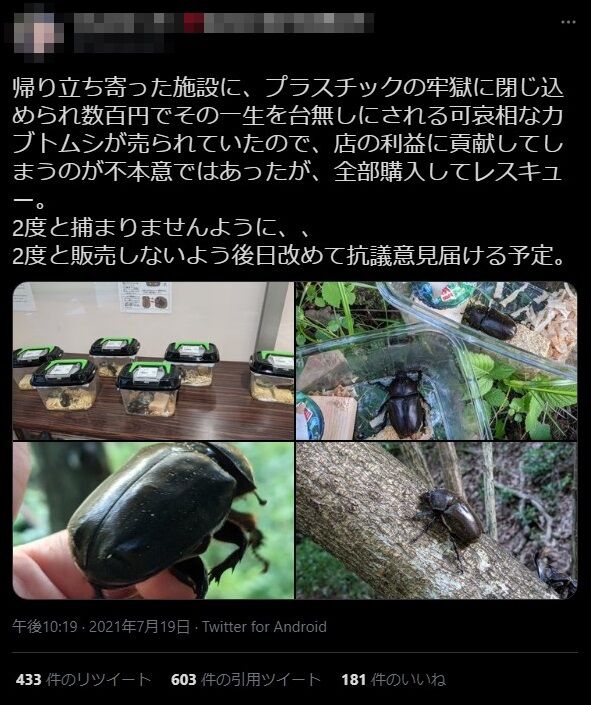 ヴィーガン女性 プラスチックの牢獄に閉じ込められてて可哀想 売り物のカブトムシを全部購入して自然に返す 猛バッシングを受けてしまう オレ的ゲーム速報 刃