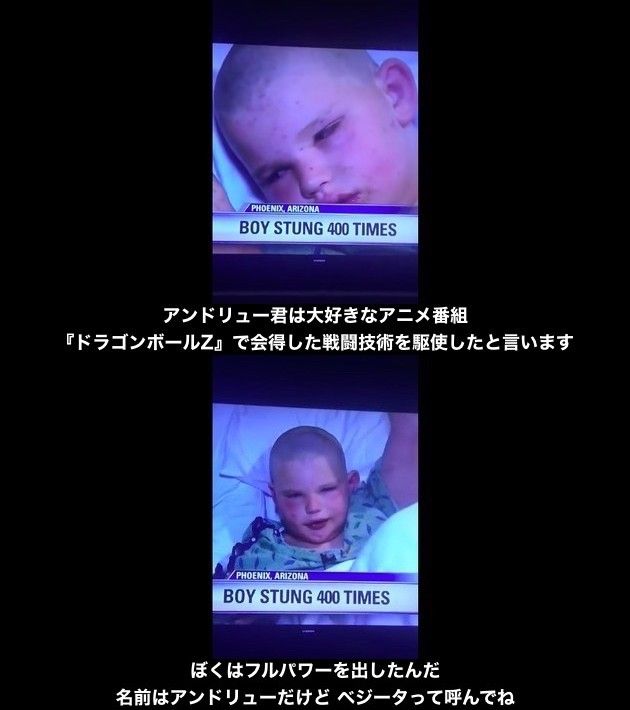 ɥ饴ܡ롡٥ɥ塼˴Ϣ-04