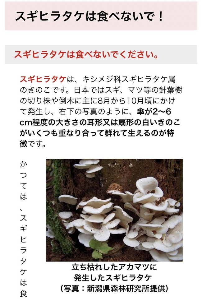 ���Υ����ǡ�Ǿ�㳲��̣�����������ҥ饿�������ա��ǥ��Υ����ٸ������ػߤ˴�Ϣ��������-02