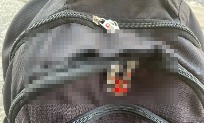 イタリア　女性　バックパック　カバン　切られる　スリに関連した画像-01
