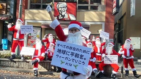 ケンタッキー　クリスマス　KFC 鶏　ヴィーガン　渋谷　に関連した画像-01