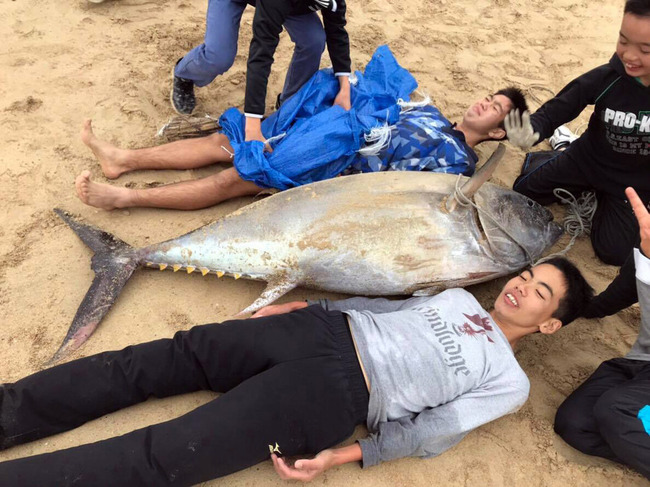 鹿児島 中学生 マグロ 素手 格闘 捕獲に関連した画像-04