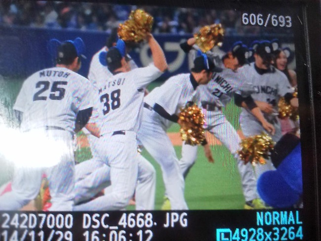 �ɥ��顡�Х�ž�����ԡ�����˴�Ϣ��������-05