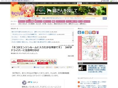 picture_00004