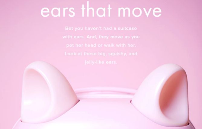 猫耳 スーツケース カワイイに関連した画像-01