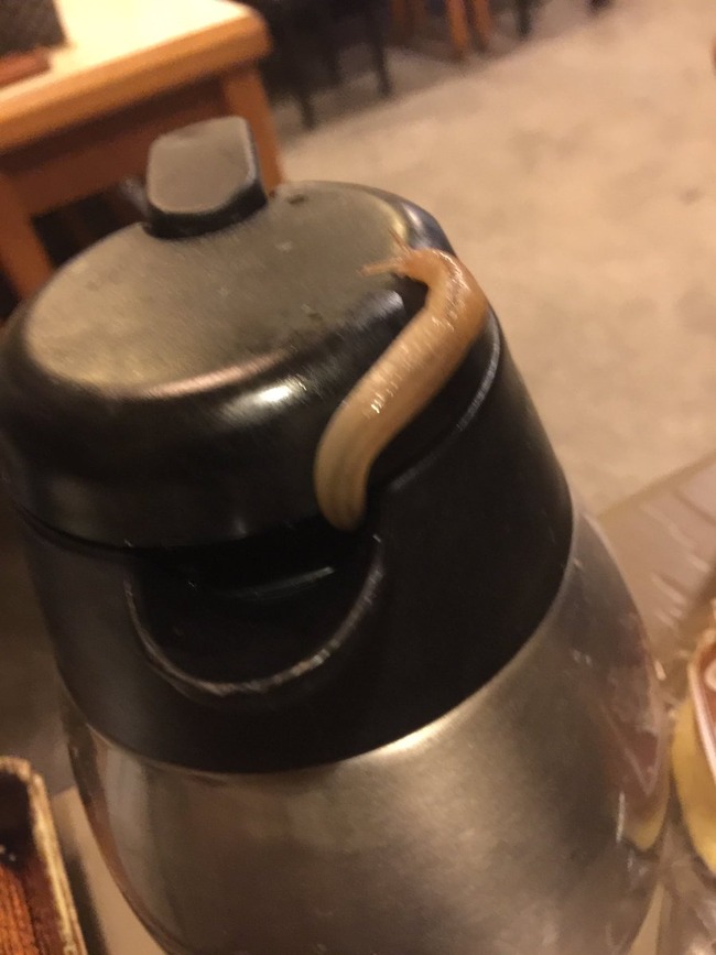 蕎麦屋 ピッチャー ナメクジに関連した画像-02