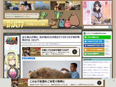 ���֥��������ʵ����ڡ���������ɹ�ϴ����ӡ����������Ǥ˴�Ϣ��������-02