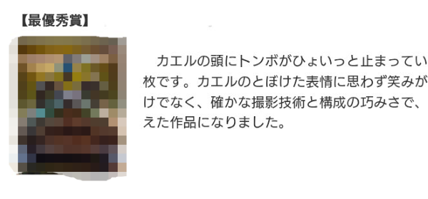 フォトコンテスト　写真　生成AI　最優秀賞　フリー画像に関連した画像-01