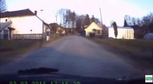 犬 動画に関連した画像-03