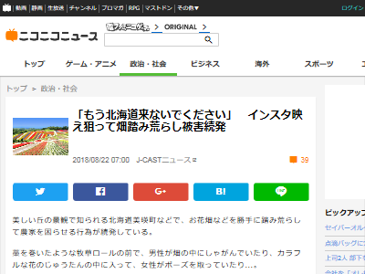 もう北海道来ないで インスタ映えを狙って畑の踏み荒らし被害が続出 オレ的ゲーム速報 刃