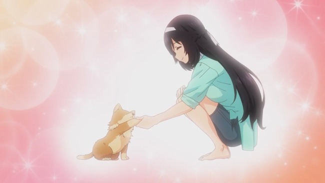 インフルエンサー　TikTok TikToker　ペットフード　キャットフード　ドッグフード　プロテイン　筋肉増強　批判殺到に関連した画像-01