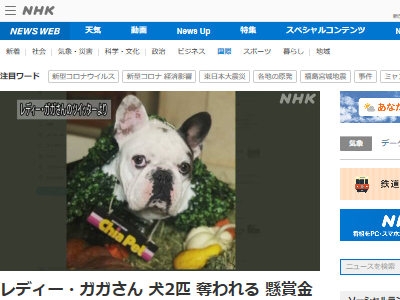 動画 レディ ガガさんの犬が盗まれる瞬間の映像がマジで怖い 懸賞金5300万円に オレ的ゲーム速報 刃 動画 レディ ガガさんの犬が盗まれる瞬間の映像がマジで怖い 懸賞金5300万円に オレ的ゲーム速報 刃