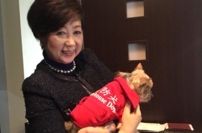 小池都知事 過労 愛犬 ヨークシャテリア 死亡に関連した画像-01