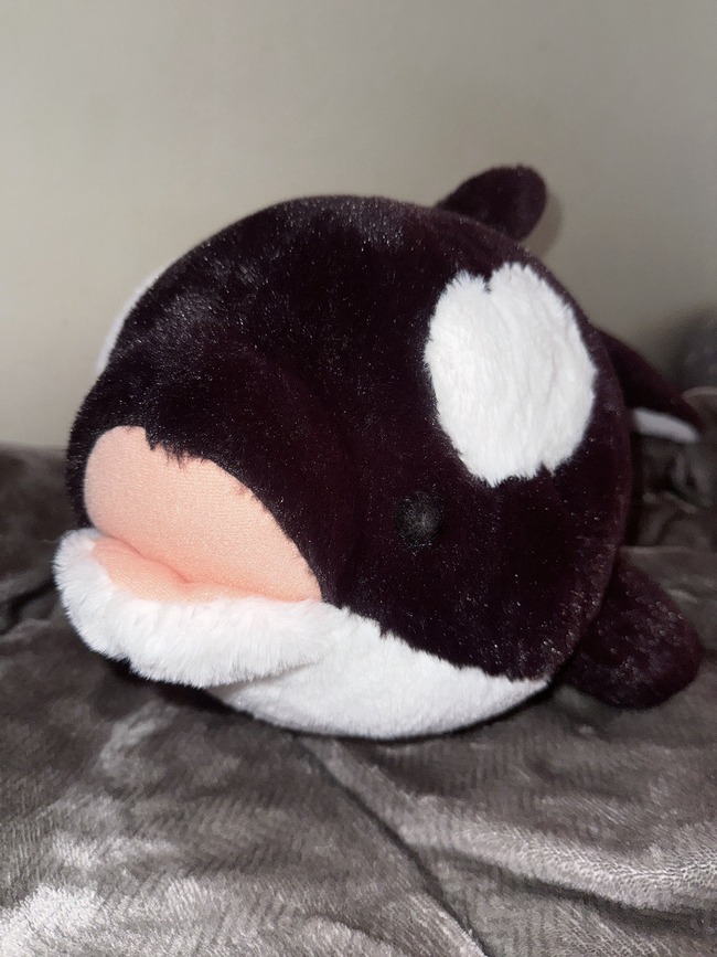 水宙翠 LiNLiNE リンクライン 地下アイドル 自撮り 谷間 胸 シャチ 人形 ぬいぐるみに関連した画像-04