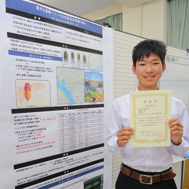 の 寿命 高校生 セミ