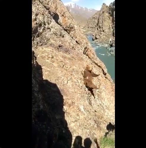 ���� ���� ��˴�Ϣ��������-04