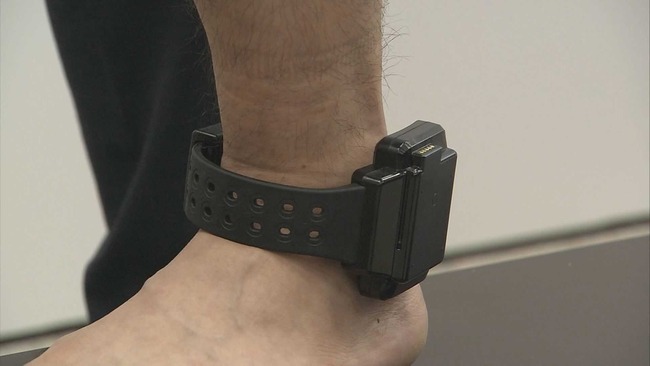 性犯罪 GPS 義務付け 提言書に関連した画像-01