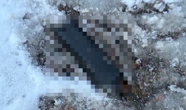 医者 アメリカ 病院 駐車場 マガジン グロックに関連した画像-01