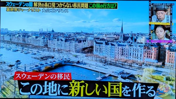 ���쥤�������㡼�ˡ������������ǥ��̲�����̱������󥰡����¡��Ⱥ�Ψ���ݻ����󥶥쥹�˴�Ϣ��������-06