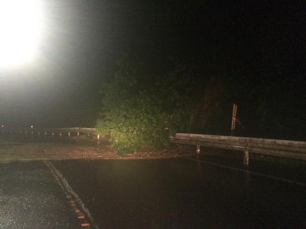 桡籫ܾ븩̡񴫹ԡ˴Ϣ-13