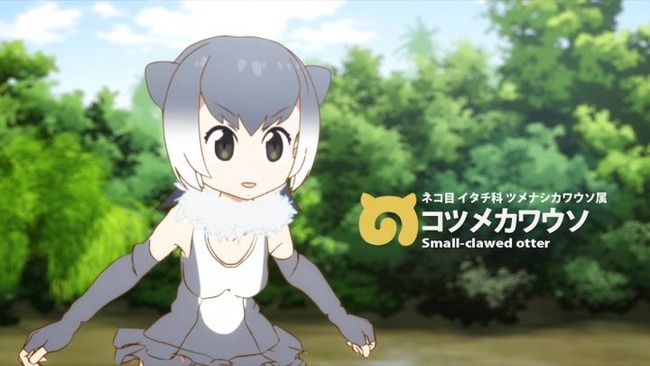カワウソ 密輸 タイ バンコク 女子大生 逮捕に関連した画像-01