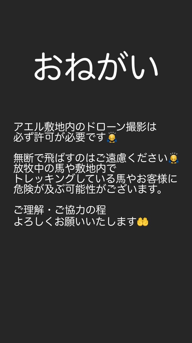 ウマ娘オタクさん ウイニングチケットたちがいる牧場に無断でドローンを飛ばして迷惑をかける オレ的ゲーム速報 刃