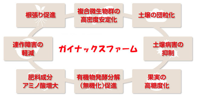 ガイナックス トマト 迷走に関連した画像-04