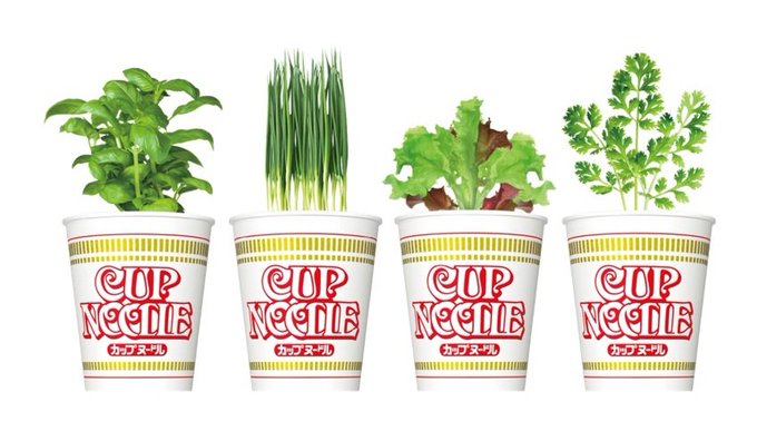 �������ʡ����åץ̡��ɥ롡���ڡ���ڡ����ݤ˴�Ϣ��������-03