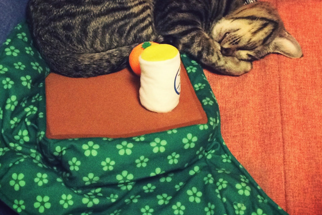こたつ 猫 コスチュームに関連した画像-04