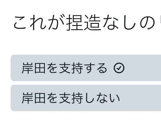 岸田首相　岸田内閣　自民党　支持率　上昇　アンケート　陰謀論　ネットの反応に関連した画像-01