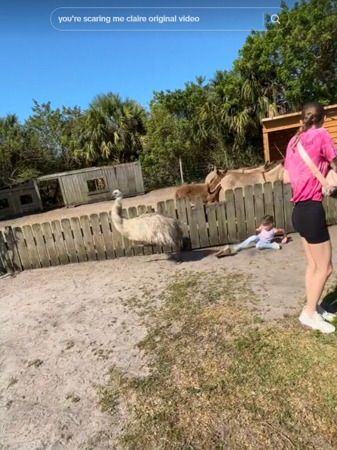 ���� ���ߥ塼 �����祦 �Ҷ� �ɤ������ä� ���ݤ˴�Ϣ��������-09