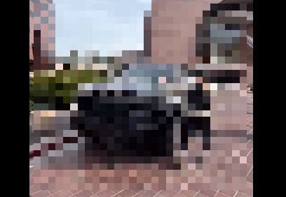 ÃϾåºÇ¶¯ SUV ¼«Æ°¼Ö ËÉÃÆ ËÉÇú ºÅÎÞ¥¹¥×¥ì¡¼¤Ë´ØÏ¢¤·¤¿²èÁü-01