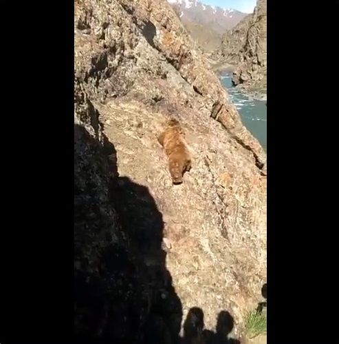 ���� ���� ��˴�Ϣ��������-03